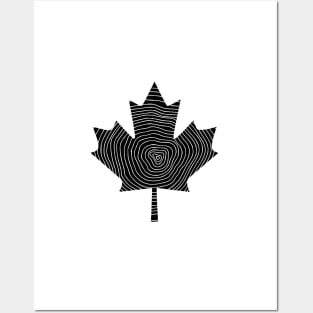 Woodgrain Maple Leaf Posters and Art